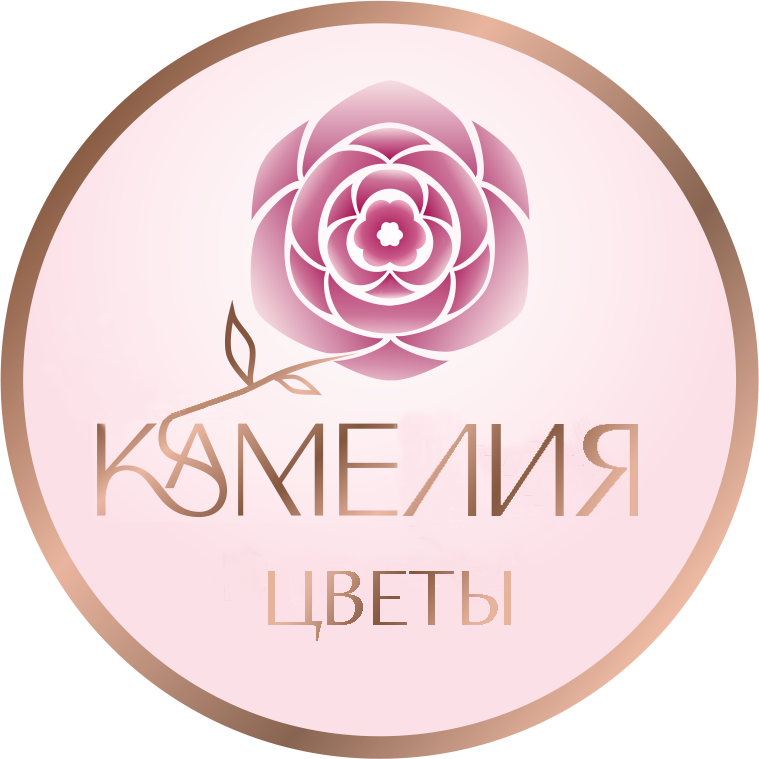 текст переделка толст