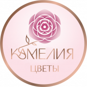 текст переделка толст