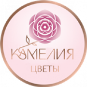 текст-переделка-толст-2 — копия